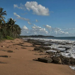 Отель Garden Beach Шри-Ланка, Косгода - отзывы, цены и фото номеров - забронировать отель Garden Beach онлайн пляж фото 2
