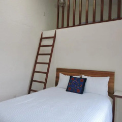 Отель Casa Coyoacan Стандартный номер фото 11