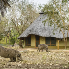 Отель Montebelo Gorongosa Lodge & Safari 3* Стандартный номер с различными типами кроватей фото 4