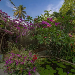 Отель Thavorn Beach Village Resort & Spa Phuket фото 14