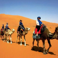 Отель Merzouga Riad and Bivouac Excursion Марокко, Мерзуга - отзывы, цены и фото номеров - забронировать отель Merzouga Riad and Bivouac Excursion онлайн приотельная территория фото 2