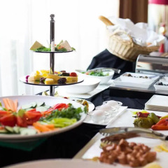 Отель Diplomat Hotel & SPA Албания, Тирана - отзывы, цены и фото номеров - забронировать отель Diplomat Hotel & SPA онлайн питание фото 2