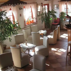 Отель Tourist Farm Dujceva Domacija гостиничный бар