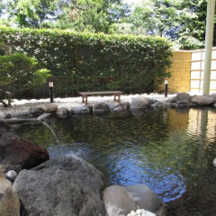 Nogi Onsen Hotel Насусиобара бассейн