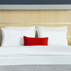 Отель Holiday Inn Express Frankfurt Messe 3* Стандартный номер с различными типами кроватей фото 8