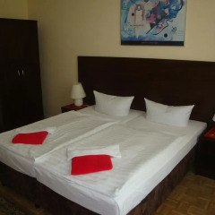 Hotel-pension Austriana 2* Номер с общей ванной комнатой фото 4