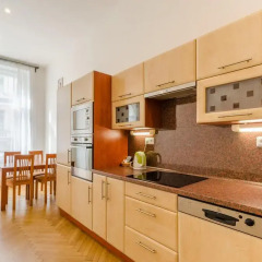 Отель Historic Centre Apartments V Чехия, Прага - отзывы, цены и фото номеров - забронировать отель Historic Centre Apartments V онлайн в номере фото 2