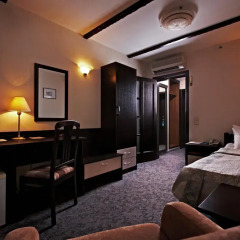 River Park Hotel 3* Стандартный номер с разными типами кроватей фото 8