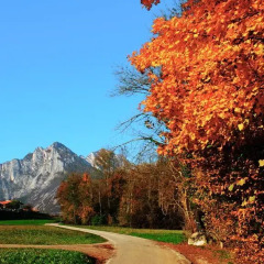 Отель B&b Col del Vin Италия, Беллуно - отзывы, цены и фото номеров - забронировать отель B&b Col del Vin онлайн фото 3