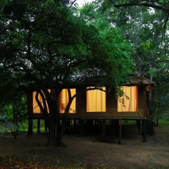 Отель Yala Safari Camping Другое фото 6