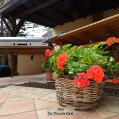 Отель B&B "La piccola Oasi" Пьяцца-Армерина фото 6