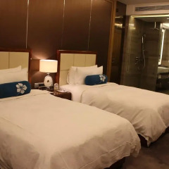 Jitai Boutique Hotel Tianjin Jinkun 4* Стандартный номер