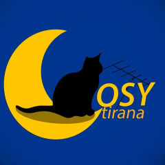 Cosy Hostel Tirana спортивное сооружение