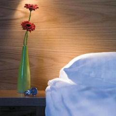 Отель Park Inn by Radisson Copenhagen Airport 3* Полулюкс с двуспальной кроватью