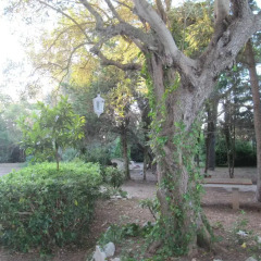 Отель Garden Lucia Лечче фото 5