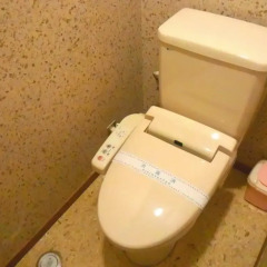 Отель Ryokan Ichinoi 3* Стандартный номер