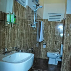 Отель Rajarata Lodge 3* Стандартный номер с различными типами кроватей фото 14
