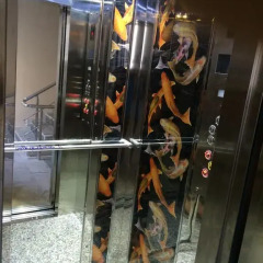 Отель Delfin Otel