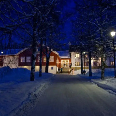 Birkebeineren Hotel & Apartments 3* Стандартный номер с различными типами кроватей фото 4