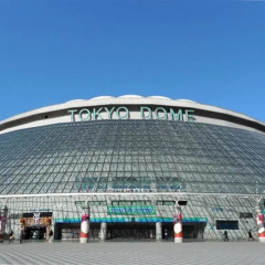 APA Hotel Tokyo Kudanshita спортивное сооружение