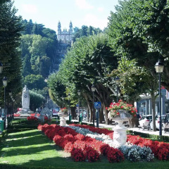 Отель Camping Lamego Португалия, Ламего - отзывы, цены и фото номеров - забронировать отель Camping Lamego онлайн фото 5