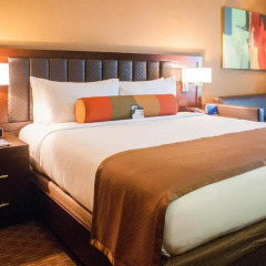 Golden Nugget Las Vegas Hotel & Casino 4* Стандартный номер с двуспальной кроватью фото 2