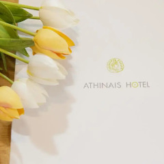Отель Athinais Hotel Греция, Афины - отзывы, цены и фото номеров - забронировать отель Athinais Hotel онлайн спа фото 2