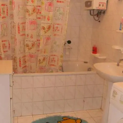 Gold Lion Hostel ванная