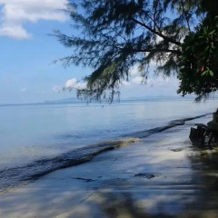 Отель Racha Sunset Resort (Koh Siboya) пляж фото 2