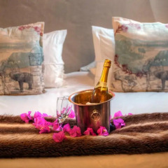 Отель Chrislin African Lodge 4* Бунгало с различными типами кроватей фото 4