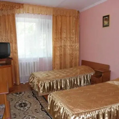 Гостиница Пансионат Золотая линия 3* Стандартный номер с 2 отдельными кроватями фото 11