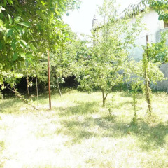 Отель Guest House City Shkodra Коттедж с различными типами кроватей фото 3