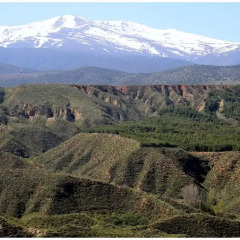 Отель Casa Cueva Alhama Сьерра-Невада