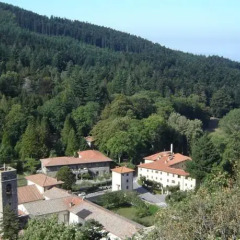 Отель La Foresta Реггелло фото 5