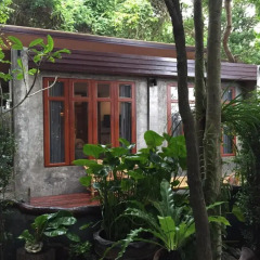 Отель Dusit Buncha Resort Koh Tao 3* Стандартный номер с 2 отдельными кроватями фото 4