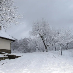 Гостиница Apple Garden House спортивное сооружение