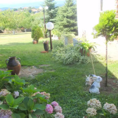 Отель Guest House Debar Велико Тырново