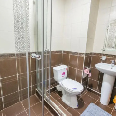 Гостиница Atrium Lux 3* Номер Делюкс с разными типами кроватей фото 17