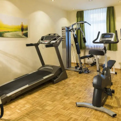 Отель Austria Classic Hotel Wien Австрия, Вена - отзывы, цены и фото номеров - забронировать отель Austria Classic Hotel Wien онлайн фитнесс-зал