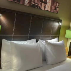 Отель Hilton Frankfurt City Centre 5* Стандартный номер с 2 отдельными кроватями