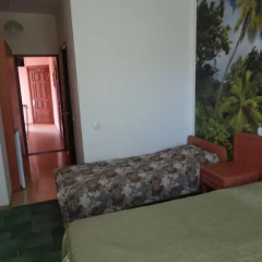 Гостиница Guesthouse Solnechnyiy комната для гостей фото 4