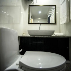 Vilu Rest Hotel 3* Стандартный номер с различными типами кроватей фото 8