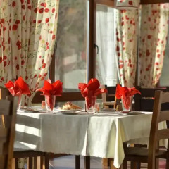 Отель The Poppies House Болгария, Чепеларе - отзывы, цены и фото номеров - забронировать отель The Poppies House онлайн питание фото 2