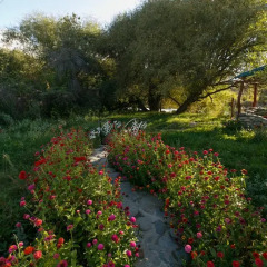 Отель Jamilya B&B Кыргызстан, Каракол - отзывы, цены и фото номеров - забронировать отель Jamilya B&B онлайн фото 5