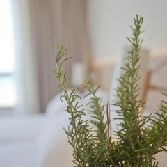 Hotel Aya интерьер отеля