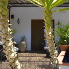 La Sitja Hotel Rural Бенисода интерьер отеля фото 3