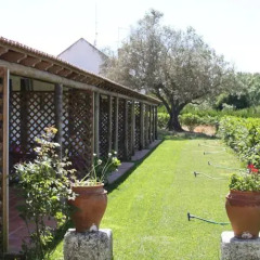 Отель Quinta da Azervada de Cima фото 4