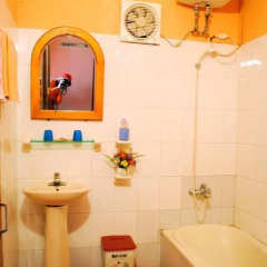 Lotus Hotel Стандартный номер с различными типами кроватей фото 11