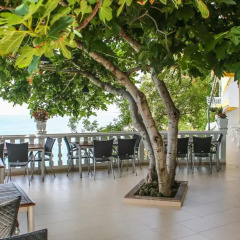 Hotel Liro гостиничный бар
