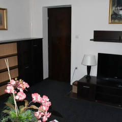 Отель Timpa Apartmanház & Dr. Strecker Villa комната для гостей фото 3